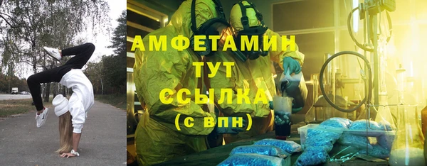 прущие грибы Осташков