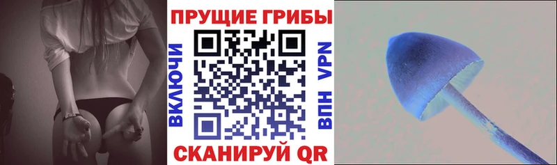 Галлюциногенные грибы мухоморы  где купить наркоту  Мурино 