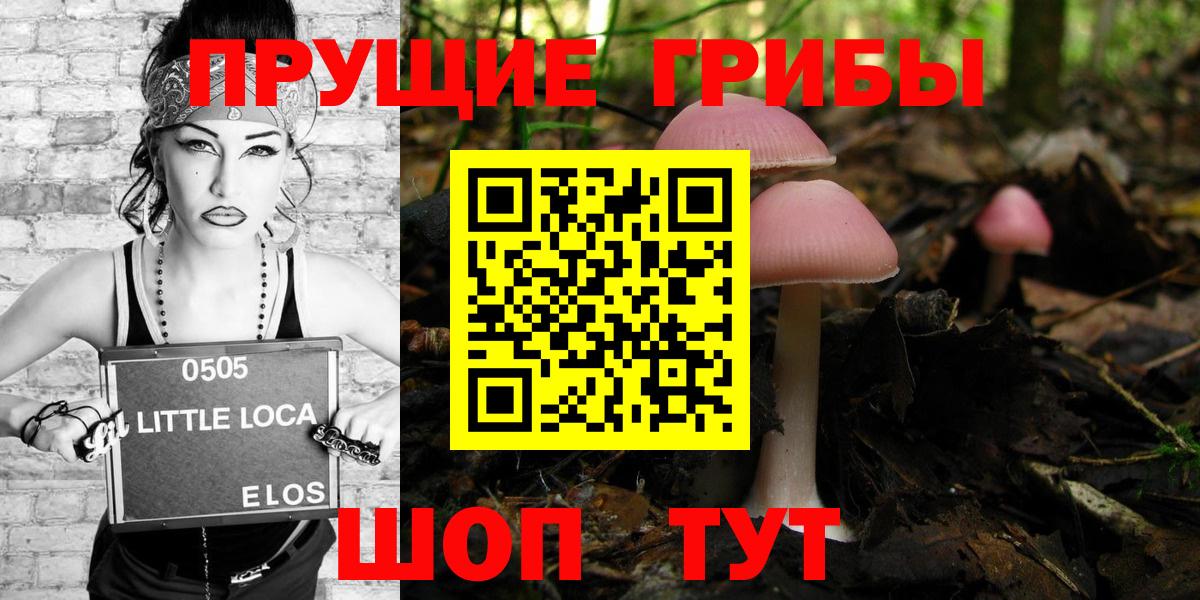Мурино  Псилоцибиновые грибы Magic Shrooms  Вход с VPN 