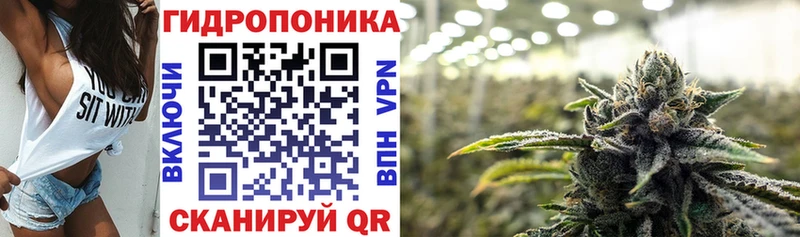 Марихуана семена  купить закладку  Мурино 